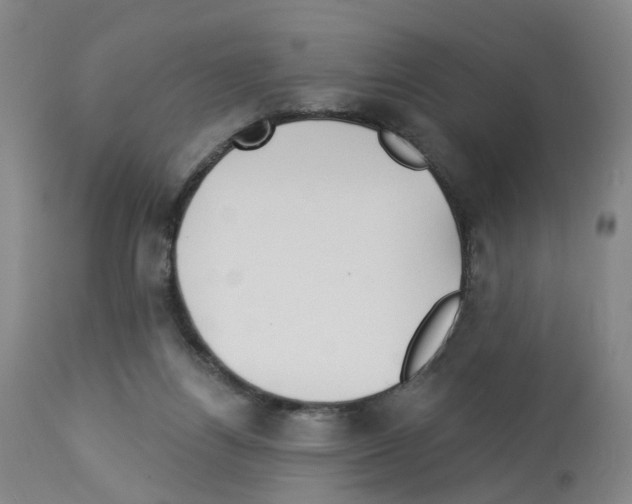 X0000112940164200910051204