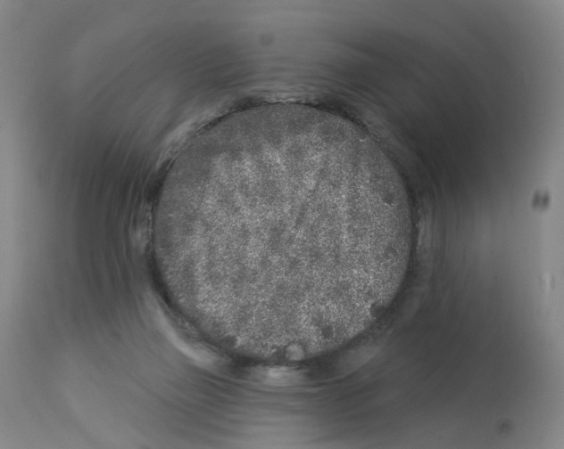 X0000112940165200910051204