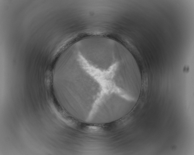 X0000112940167200910051204