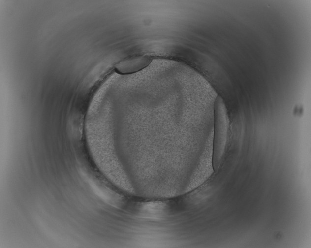 X0000112940168200910051204