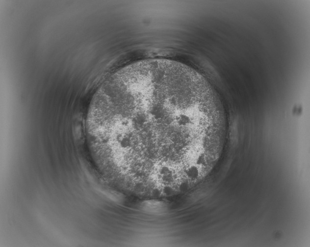 X0000112940169200910051204