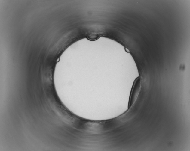 X0000112940170200910051204