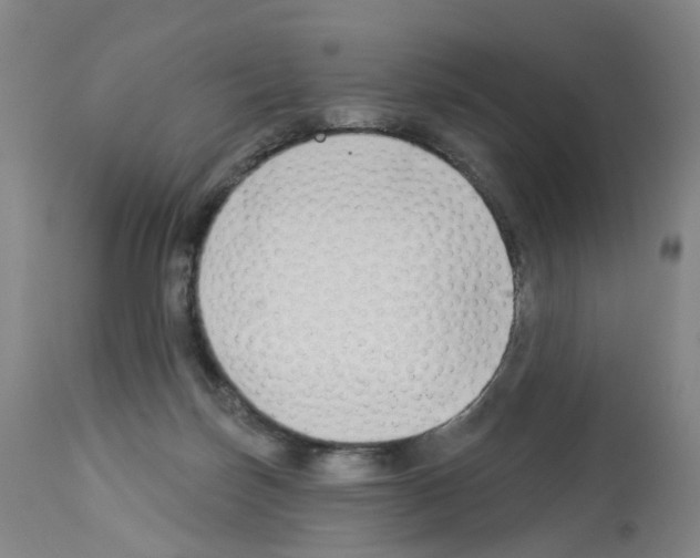 X0000112940171200910051204