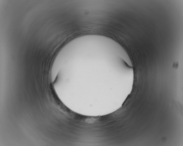 X0000112940172200910051204