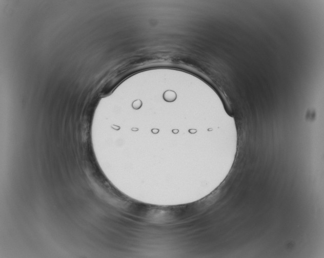 X0000112940174200910051204