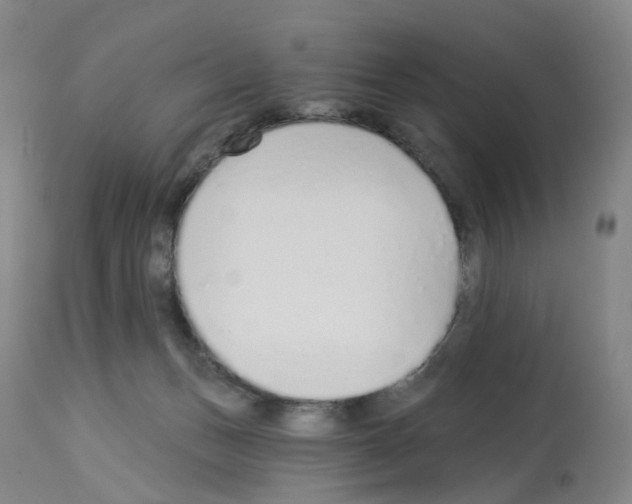 X0000112940175200910051204