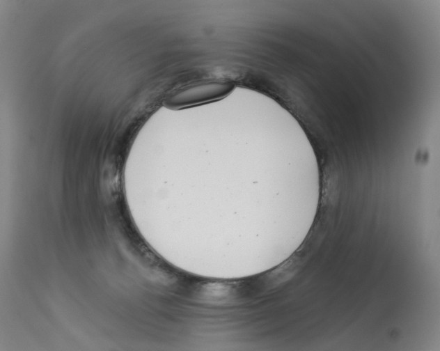 X0000112940176200910051204