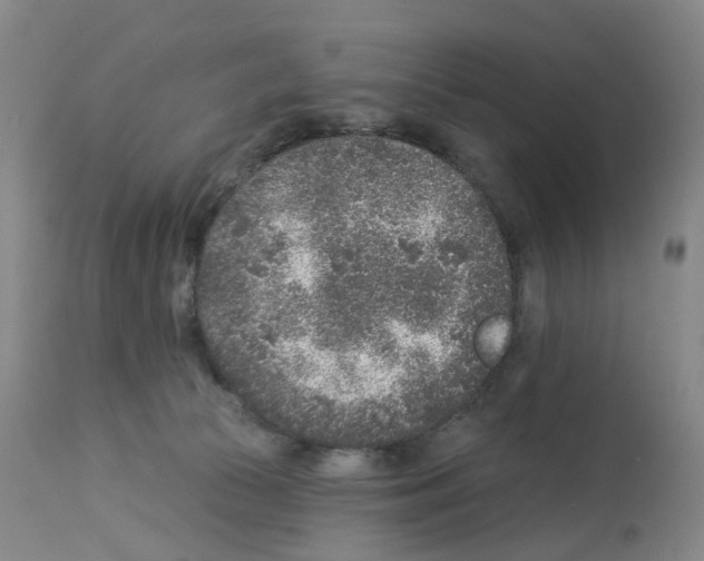 X0000112940177200910051204