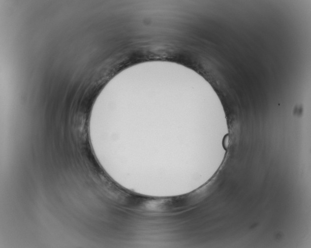X0000112940178200910051204