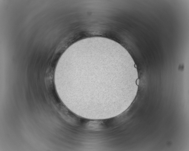 X0000112940179200910051204