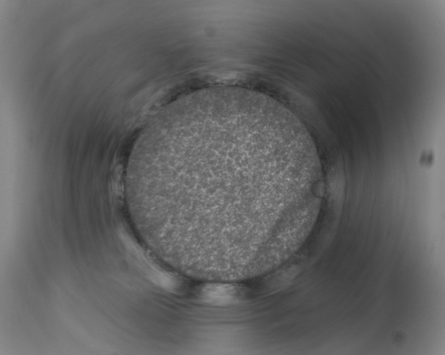 X0000112940181200910051204