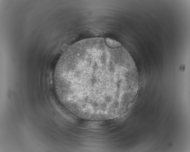 X0000112940182200910051204