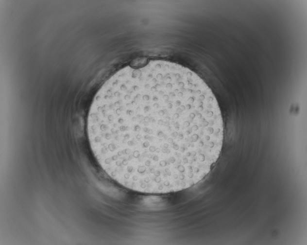 X0000112940183200910051204