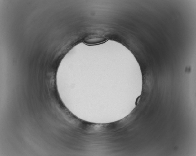 X0000112940184200910051204