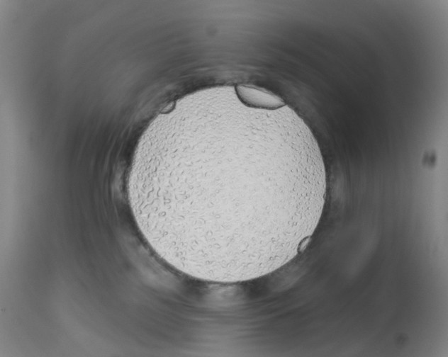 X0000112940185200910051204