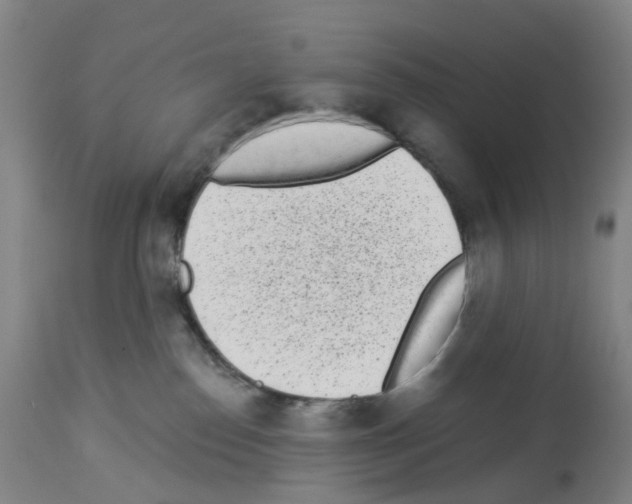 X0000112940186200910051204