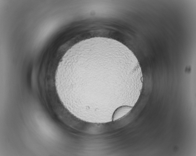 X0000112940189200910051204