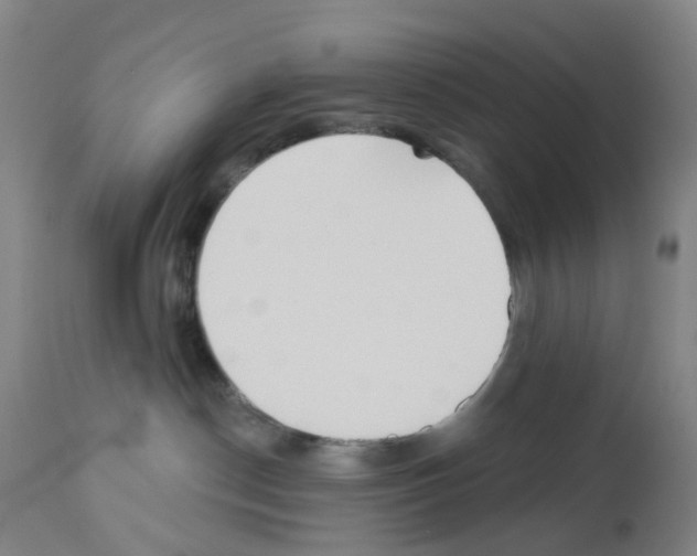 X0000112940190200910051204