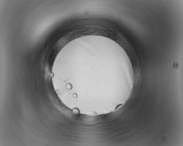 X0000112940191200910051204