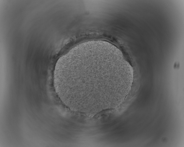 X0000112940192200910051204