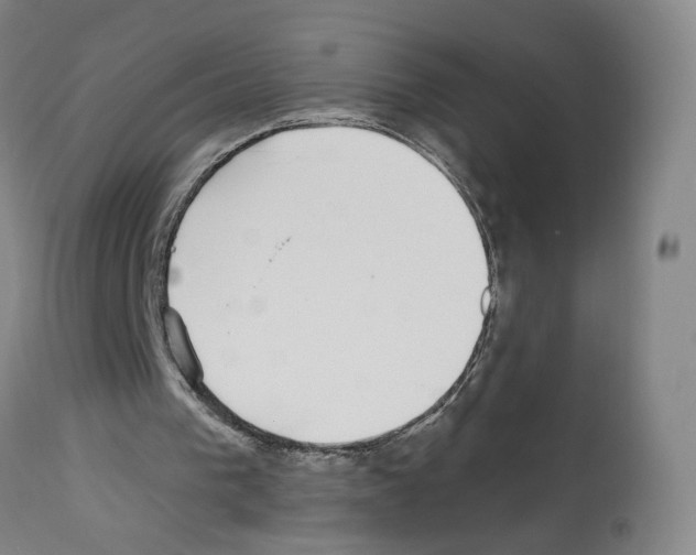 X0000112940193200910051204