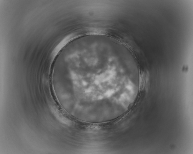 X0000112940195200910051203