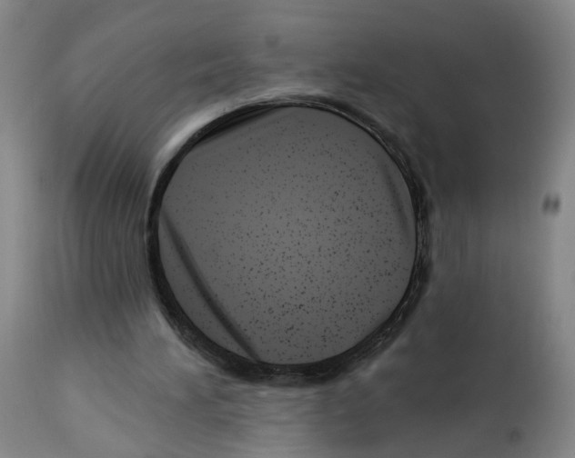 X0000112940196200910051203