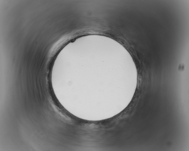 X0000112940197200910051203