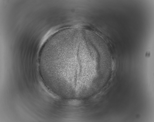 X0000112940198200910051203