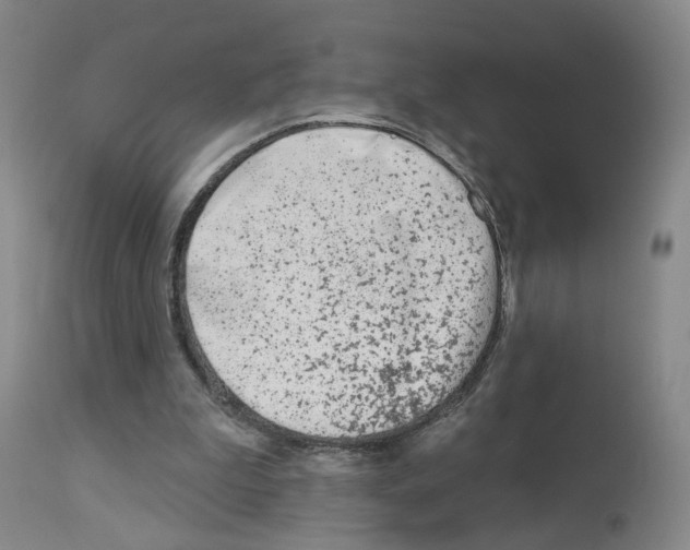 X0000112940199200910051203