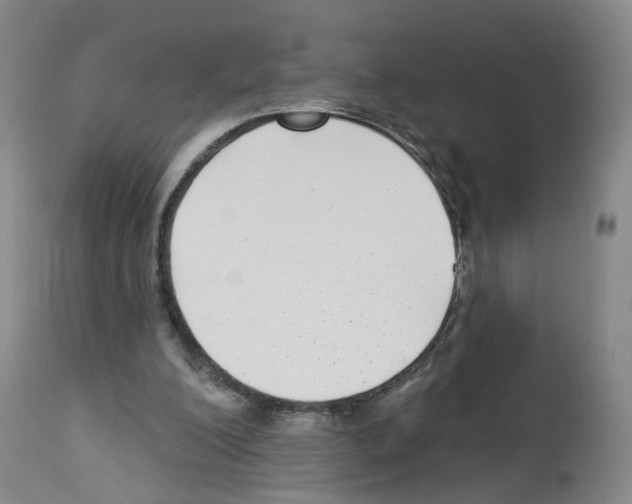 X0000112940200200910051203