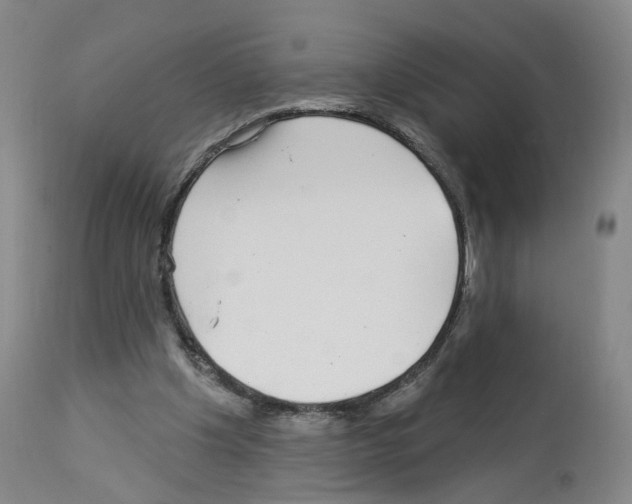 X0000112940201200910051203