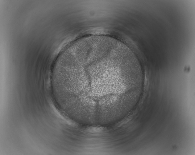 X0000112940202200910051203