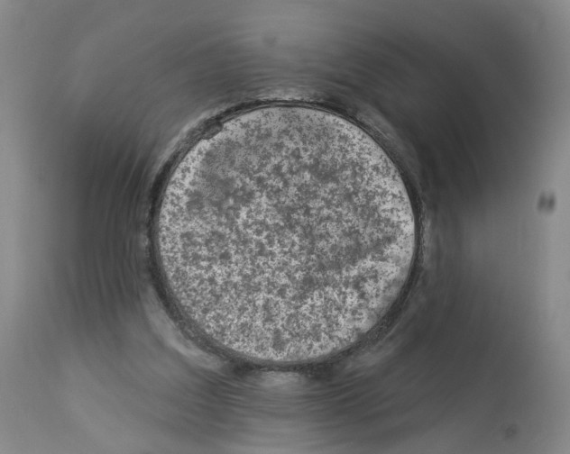 X0000112940203200910051203
