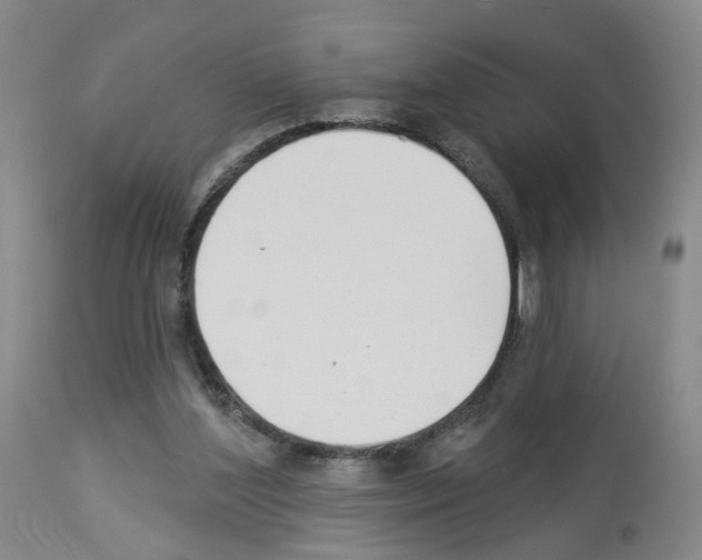 X0000112940204200910051203