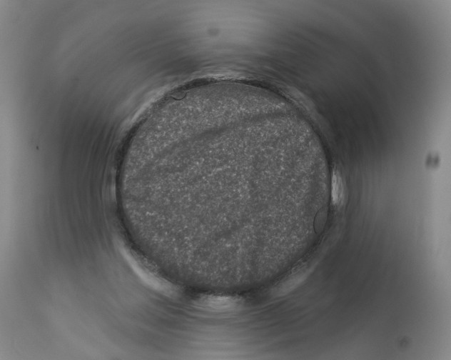 X0000112940205200910051203