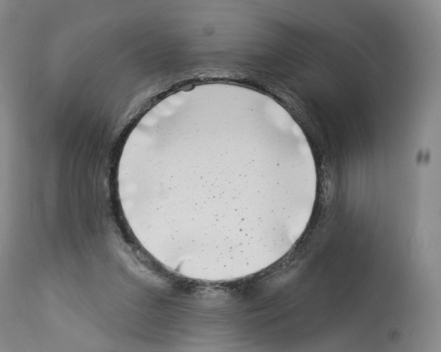 X0000112940207200910051203