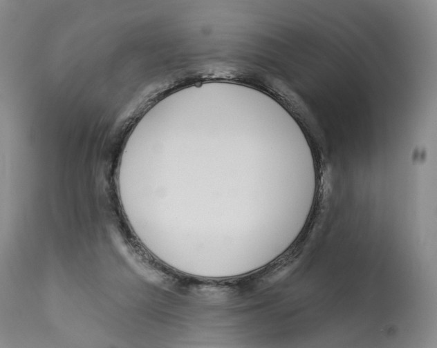 X0000112940209200910051203