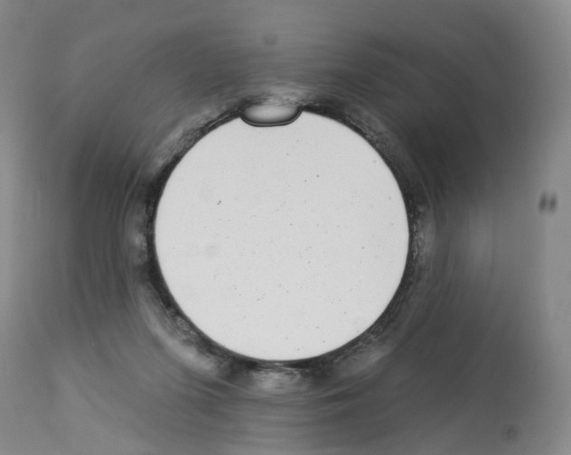X0000112940215200910051203