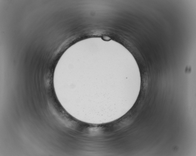 X0000112940216200910051203