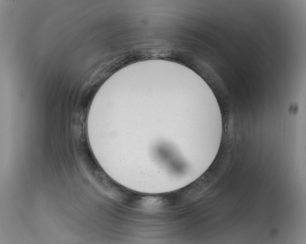 X0000112940218200910051203