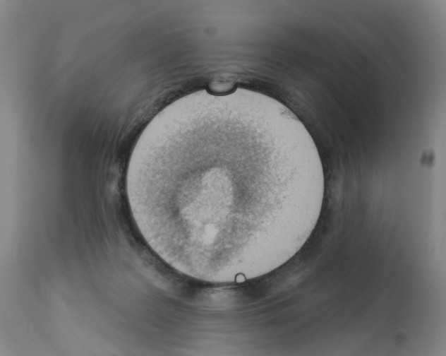 X0000112940219200910051203
