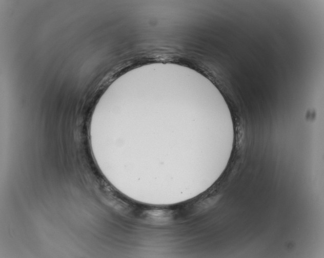 X0000112940221200910051203