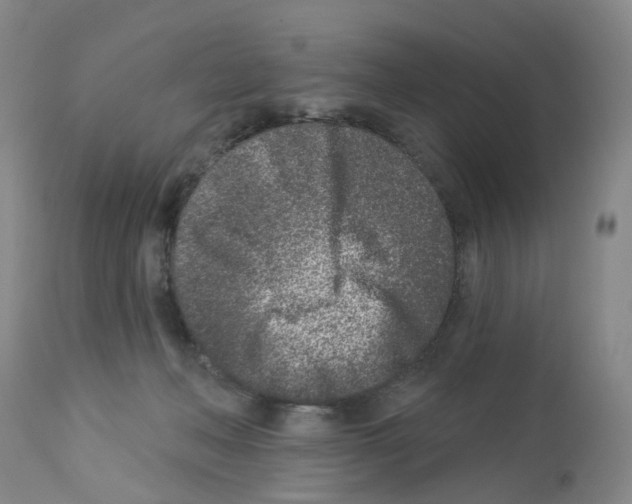 X0000112940222200910051203