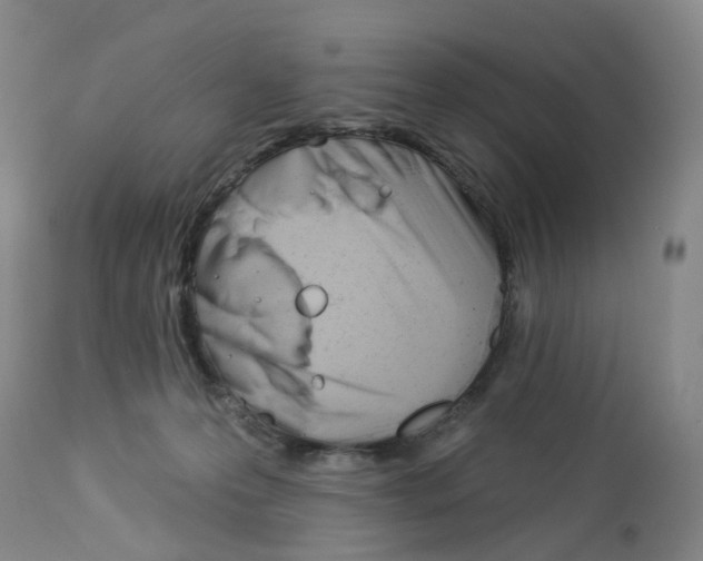 X0000112940223200910051203