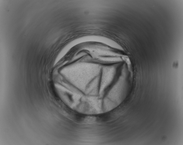 X0000112940227200910051203