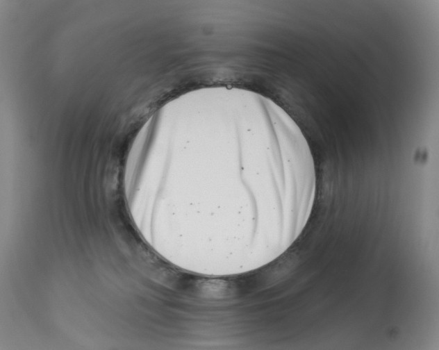 X0000112940230200910051203