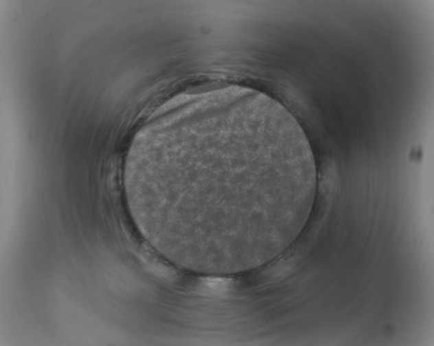 X0000112940233200910051203
