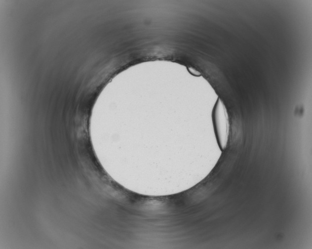 X0000112940236200910051203