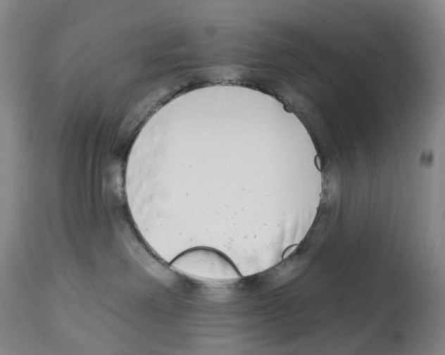 X0000112940238200910051203